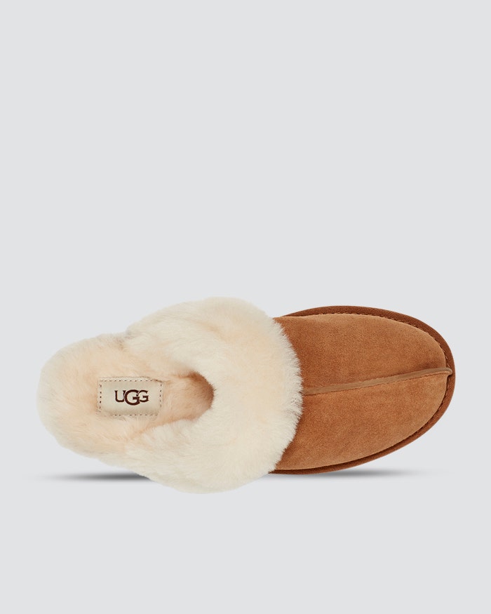 Ugg women's scuffette online